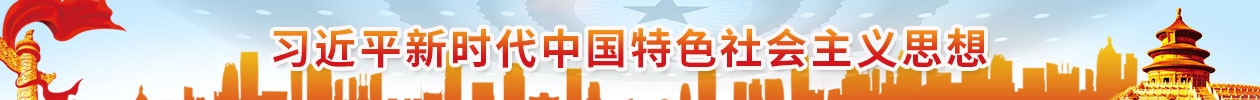 j9数字站