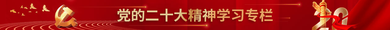 j9数字站